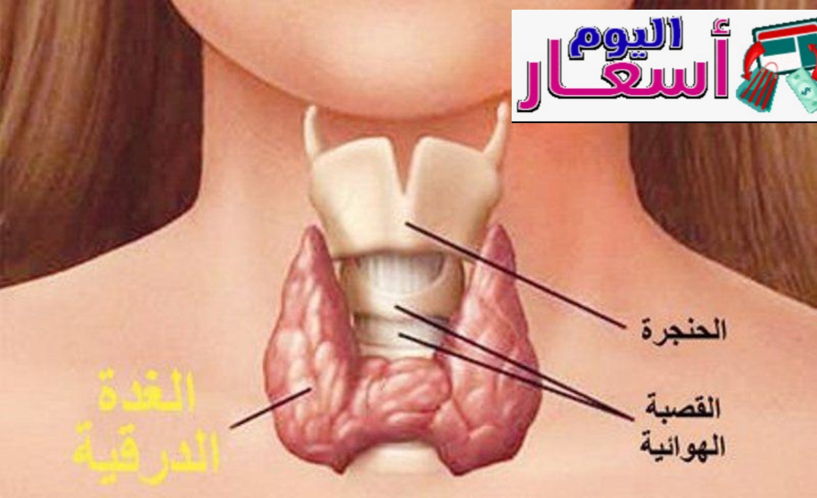 سعر تحليل الغدة الدرقية 2023 | عروض وتخفيضات فحص الغدة الدرقية بالسعودية