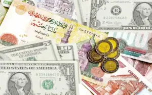 سعر الريال السعودي مقابل الجنيه المصري في السوق السوداء